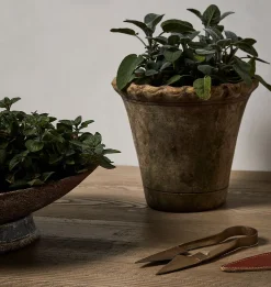 Scalloped Nursery Planter