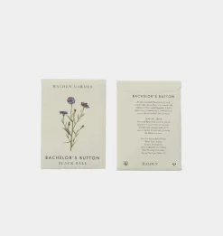 Seed Packet