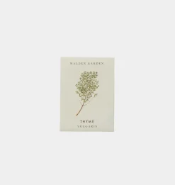 Seed Packet