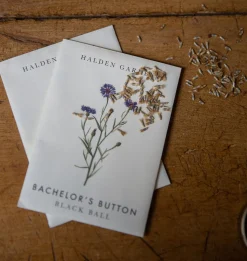 Seed Packet