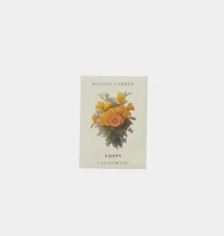 Seed Packet