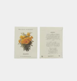 Seed Packet