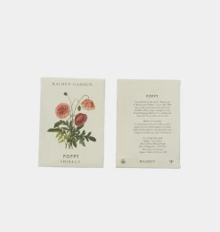 Seed Packet