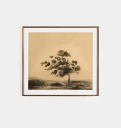 Serenity by Chelsea Fly Framed Print