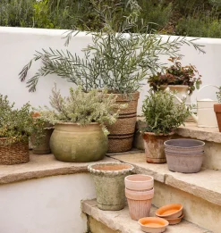 Simona Planter