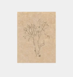 Small Contour Flower
