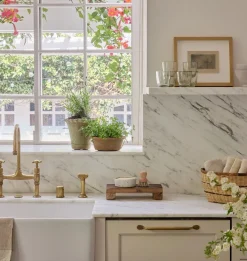 Soap Dish & Drain Tray