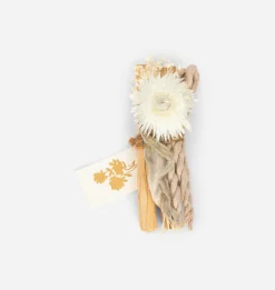 Solstice Moon Bundle
