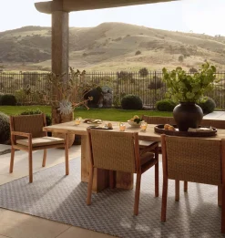 Topanga TOP-02 Natural / Silver Area Rug
