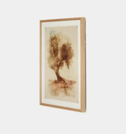 Undone Cypress by Coup d'Esprit Framed Print