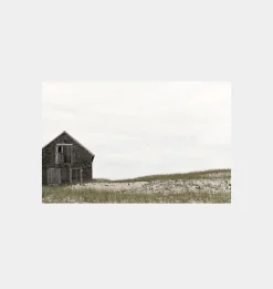 Weathered Barn, Cape Cod