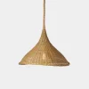 Wilder Outdoor Pendant